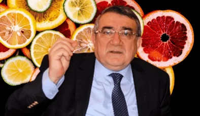 Mersin Ticaret Borsası Başkanı Özdemir: “USDA’nın Türkiye Narenciye Yıllık Raporu İyi Analiz Edilmeli