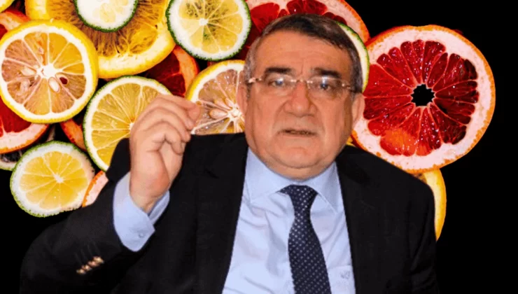 Mersin Ticaret Borsası Başkanı Özdemir: “USDA’nın Türkiye Narenciye Yıllık Raporu İyi Analiz Edilmeli