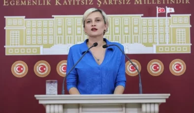 DEM Partili Koca’dan Bakan Tekin’e “Öncelik İdeoloji mi, Çocuğun Beslenmesi mi?”