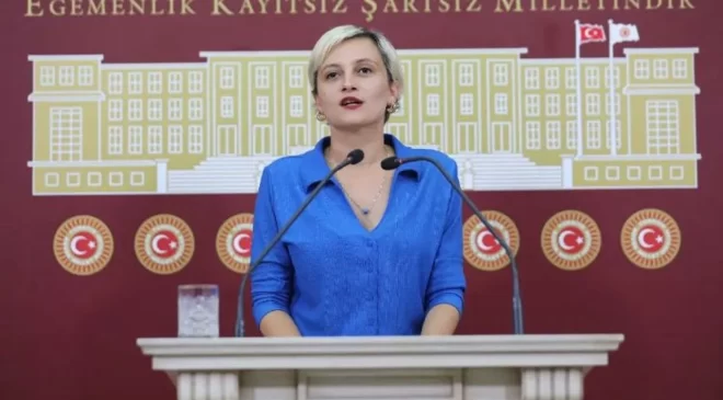 DEM Partili Koca’dan Bakan Tekin’e “Öncelik İdeoloji mi, Çocuğun Beslenmesi mi?”