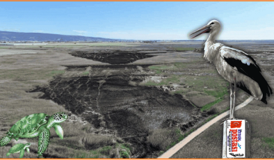 Silifke Göksu Deltası Yangınlarla Tarım Alanına mı Dönüşüyor?