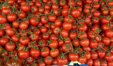 Pazarda geçim isyanı: Temel sebzeler lüks oldu