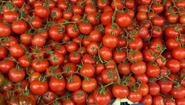 Pazarda geçim isyanı: Temel sebzeler lüks oldu