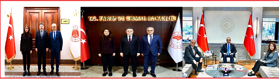 Mersin’in Adalet Vizyonu Ankara’da Şekilleniyor: Milletvekili Heyetinden Bakan Tunç’a Çıkartma