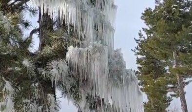 Adana’da doğa dondu! Ortaya çıkan görüntüler görenleri büyüledi