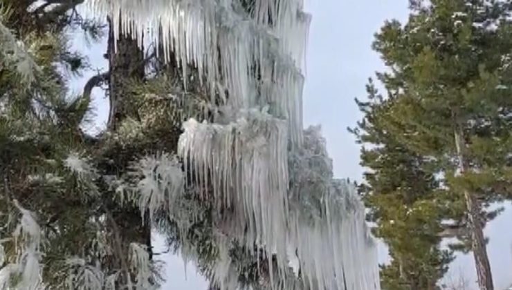 Adana’da doğa dondu! Ortaya çıkan görüntüler görenleri büyüledi