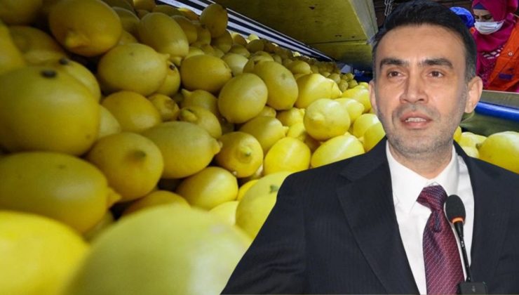 AK Parti Mersin İl Başkanı Adem Aldemir’den Limon İthalat Vergisi Düzenlemesine İlişkin Açıklama