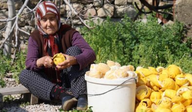 Dalında 20 TL, kabuğu 65 TL! Kozan’da kadınlardan dikkat çeken üretim