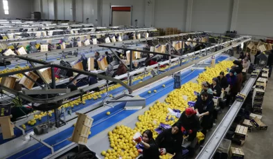 İlk çeyrek verileri açıklandı: Mersin’den dev katkı