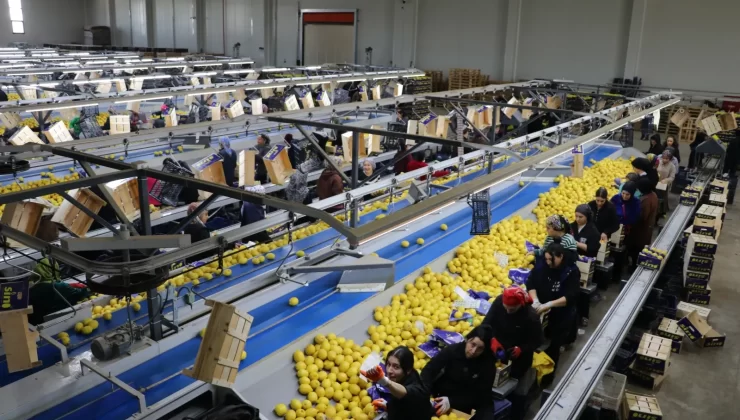 İlk çeyrek verileri açıklandı: Mersin’den dev katkı