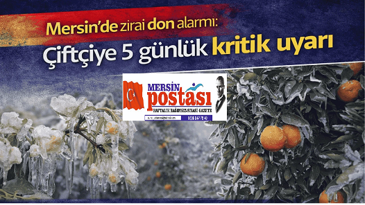 Mersin’de zirai don alarmı: Çiftçiye 5 günlük kritik uyarı