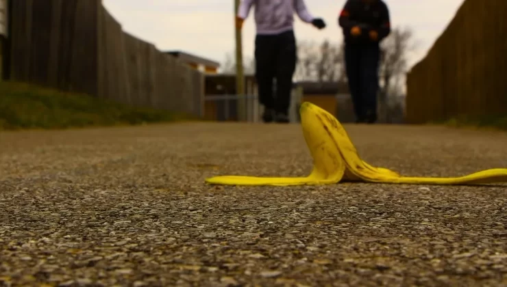 Çöp diye atıyorduk ama gübreleri solladı geçti: Bitkileri daha hızlı ve güçlü büyütüyor