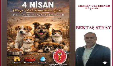 MERSİN VETERİNER HEKİMLERİ ODASI’BAŞKANI BEKTAŞ ŞENAY DAN 4 NİSAN DÜNYA SOKAK HAYVANLARI GÜNÜ  MESAJI: “ONLAR BİZE EMANET”