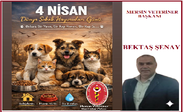 MERSİN VETERİNER HEKİMLERİ ODASI’BAŞKANI BEKTAŞ ŞENAY DAN 4 NİSAN DÜNYA SOKAK HAYVANLARI GÜNÜ  MESAJI: “ONLAR BİZE EMANET”