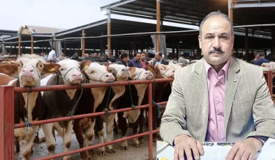 Süt üreticisi çaresiz: Hayvanlar kurban pazarına indi