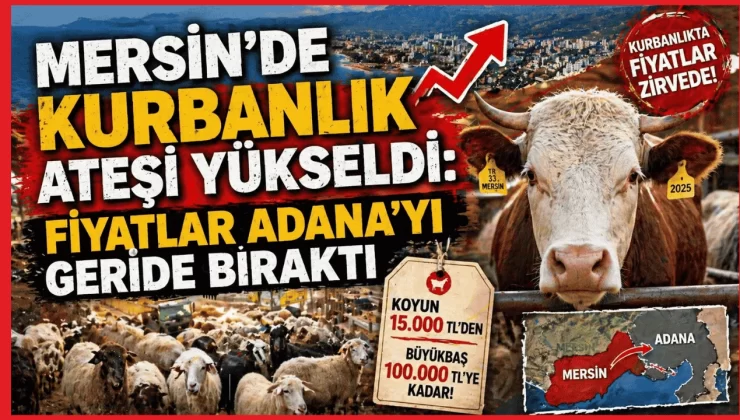 Mersin’de Kurbanlık Ateşi Yükseldi: Fiyatlar Adana’yı Geride Bıraktı