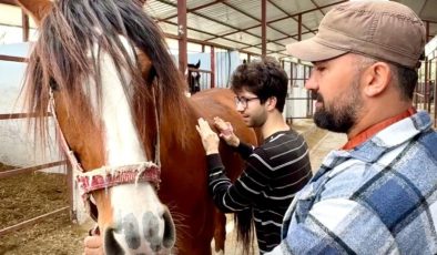 Mersin’de bu etkinlik yüzleri güldürdü! Otizmli çocuklar atla terapiyle tanıştı