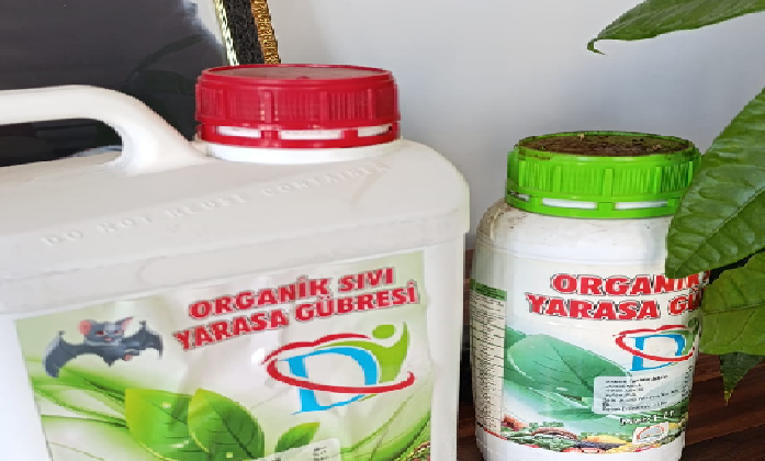 Yarasa Gübresi Hakkında Bilmeniz Gerekenler