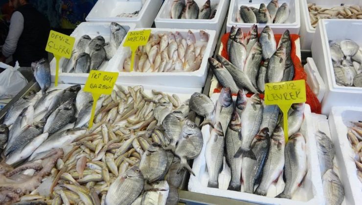 Mersin’de bugün başladı! Balık tezgâhlarında büyük değişim