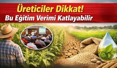 Mersin’de çiftçilere altın değerinde fırsat!