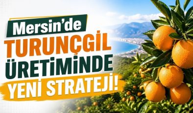 Mersinli üreticiler dikkat! Turunçgilde yeni dönem başlıyor