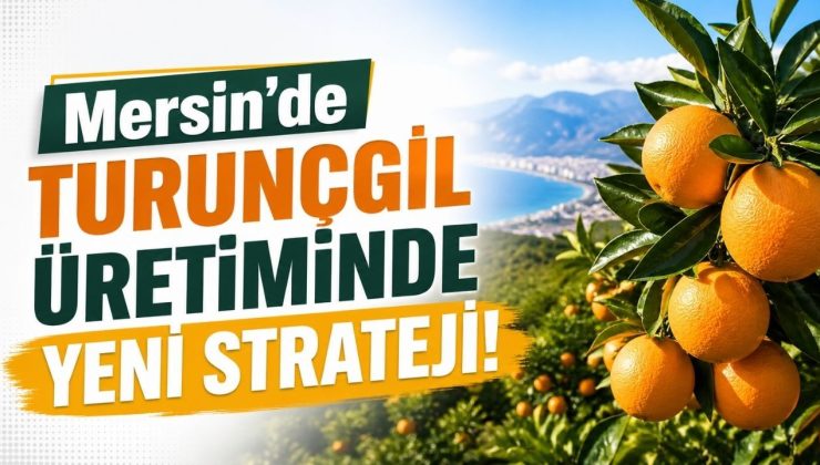 Mersinli üreticiler dikkat! Turunçgilde yeni dönem başlıyor