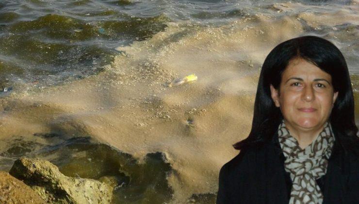 Akdeniz ısınıyor, Mersin alarmda!