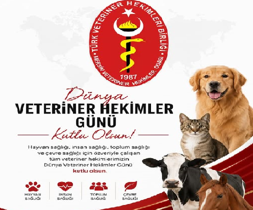 Başkan Şenay: “Veteriner Hekimler Toplum Sağlığının Sigortasıdır”