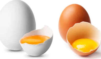 Yumurta üreticisi ayakta kalma mücadelesi veriyor: İşte çarpıcı rakamlar