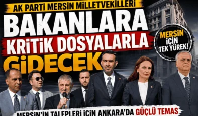 AK Parti Mersin Milletvekilleri Bakanlara Kritik Dosyalarla Gidecek