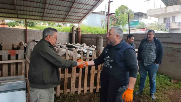 Kurbanlıklar satışa çıktı, pazarlıklar kızıştı