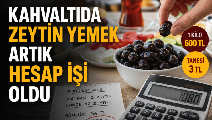 Küçük tane büyük masraf: Zeytin hesabı şaşırttı