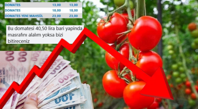 Mersinli üreticiden domates fiyatlarına isyan: “Bizi bitireceksiniz”